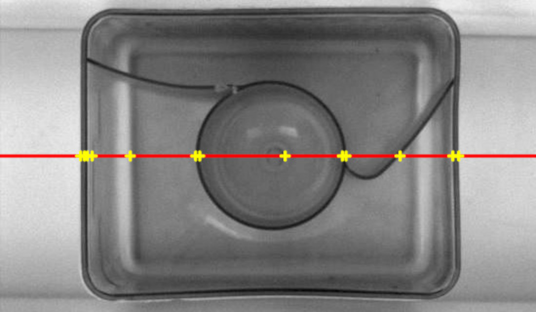 Edge detection algorithm used to analyse a shape of a dishwasher capsule.